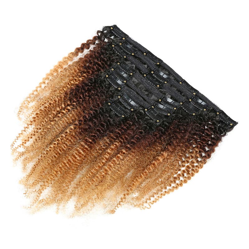 1B/4/27 KINKY CURLY CLIP INS