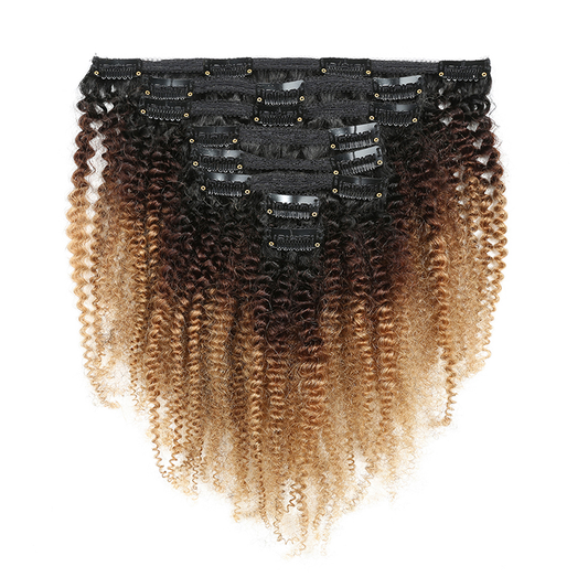 1B/4/27 KINKY CURLY CLIP INS